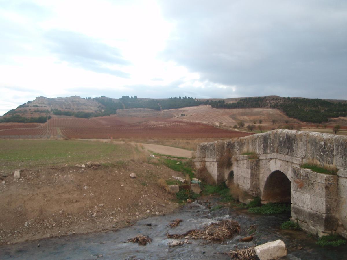Alojamiento Rural Pueblo De La Ribera Peñafiel Exterior foto